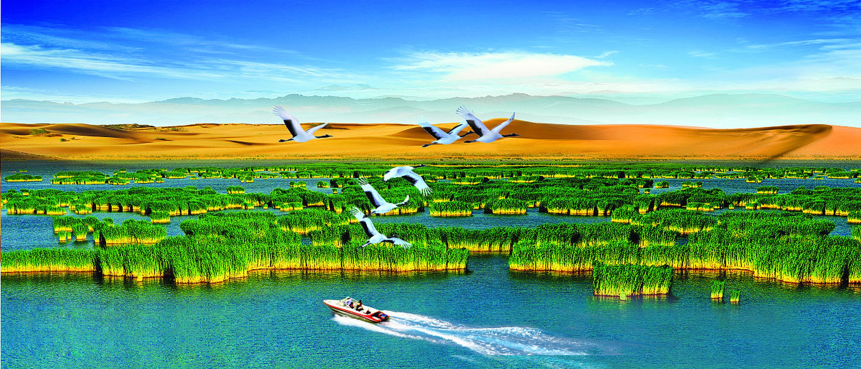 你们知道塞上江南沙湖吗?