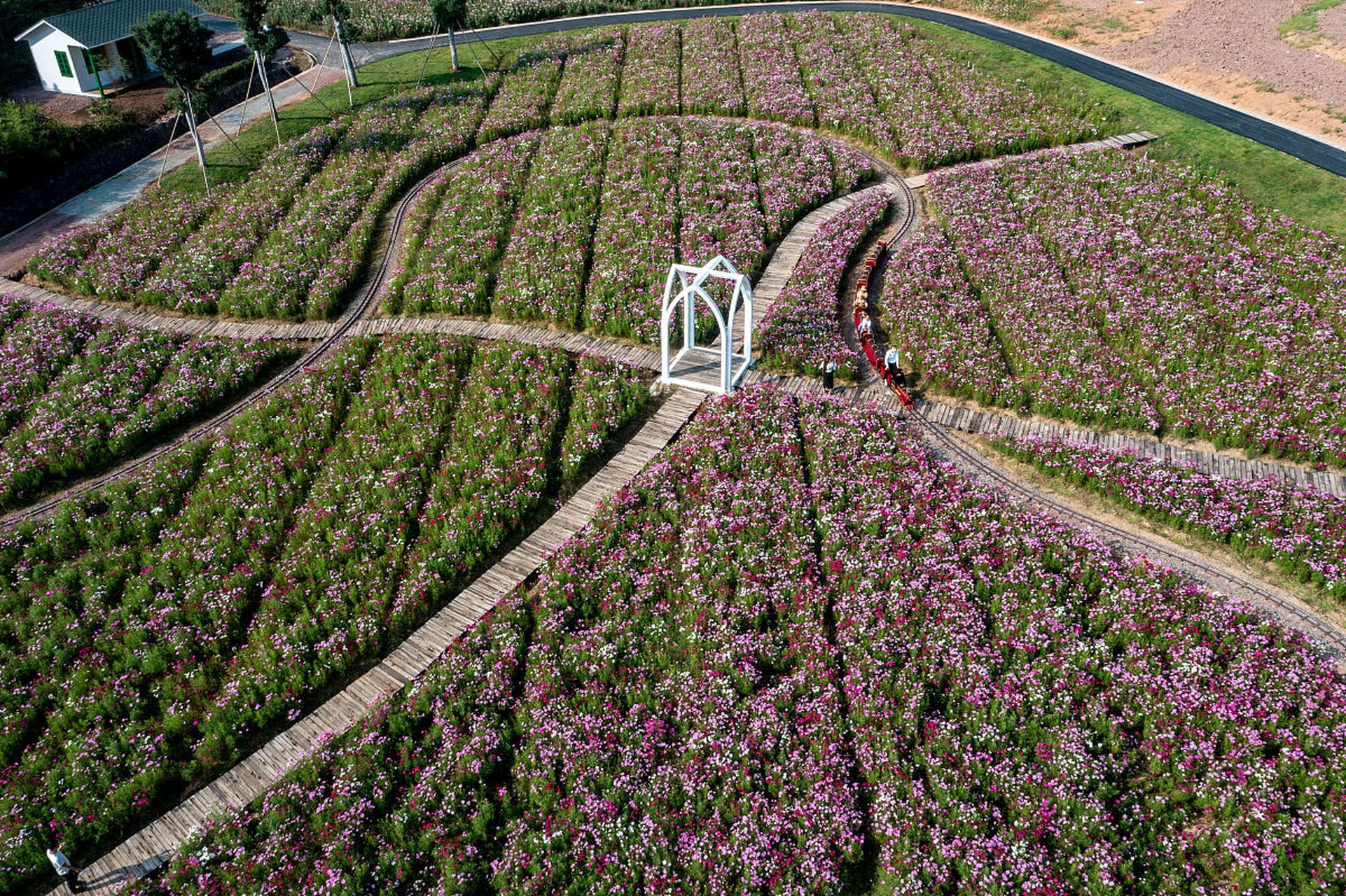 春夏之交,金华花田小镇邀请你共赴花海盛宴!