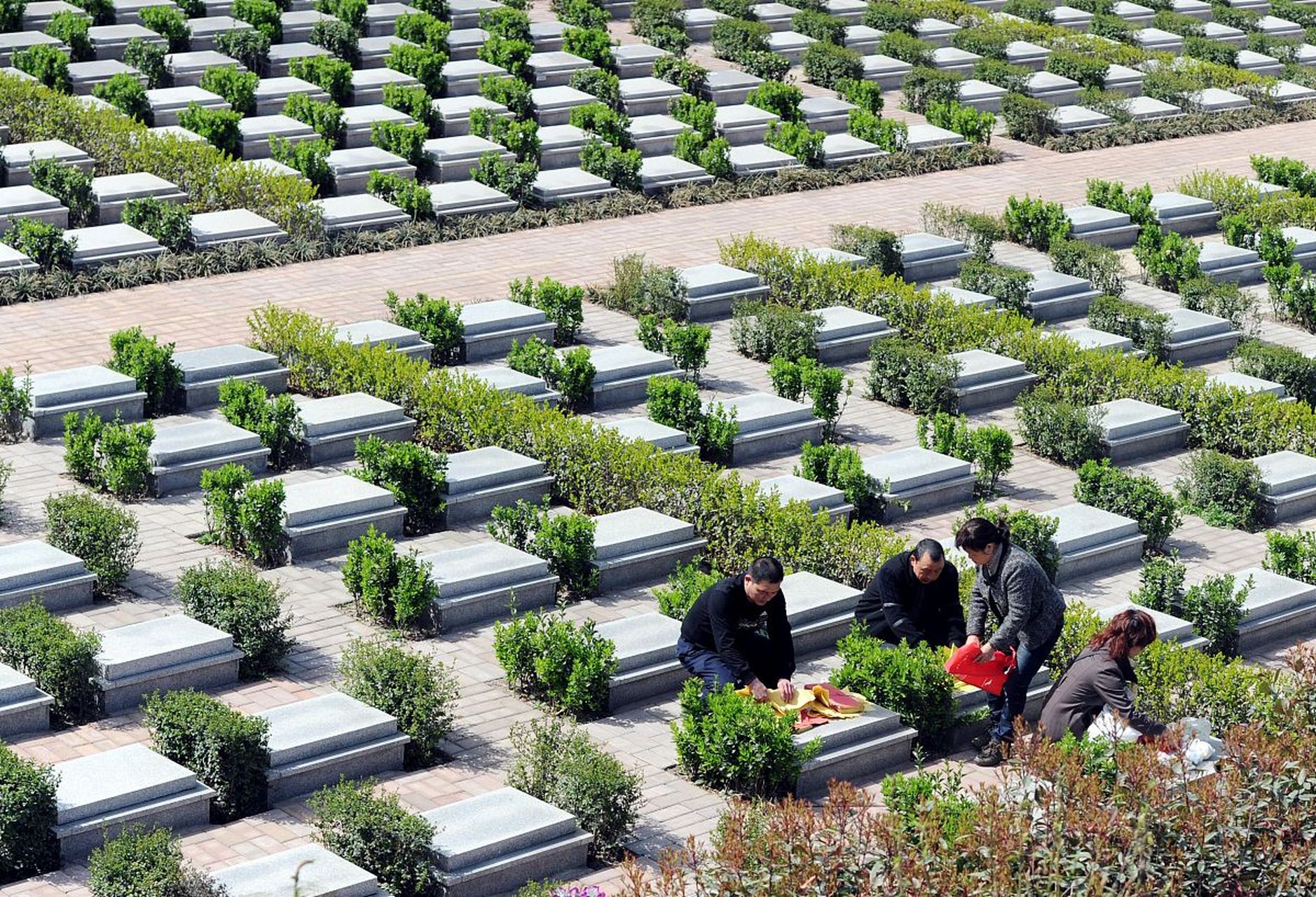 这个问题像一颗种子,在我心里慢慢生根发芽.