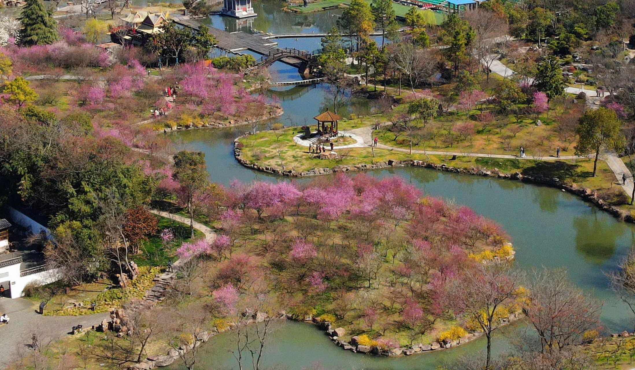 肇庆七星岩的桃花岛,在清明时节分外妖娆.