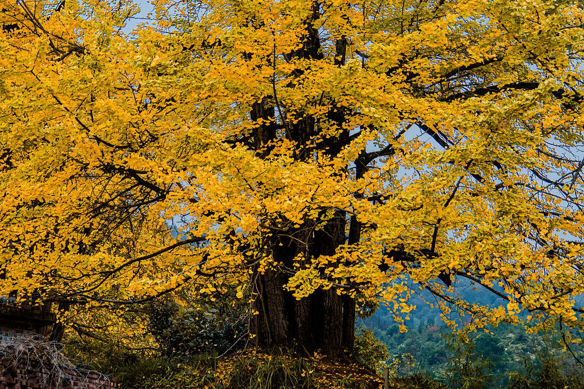 今天,我和几个好友来到了南雄景区,这里真的是太美了!