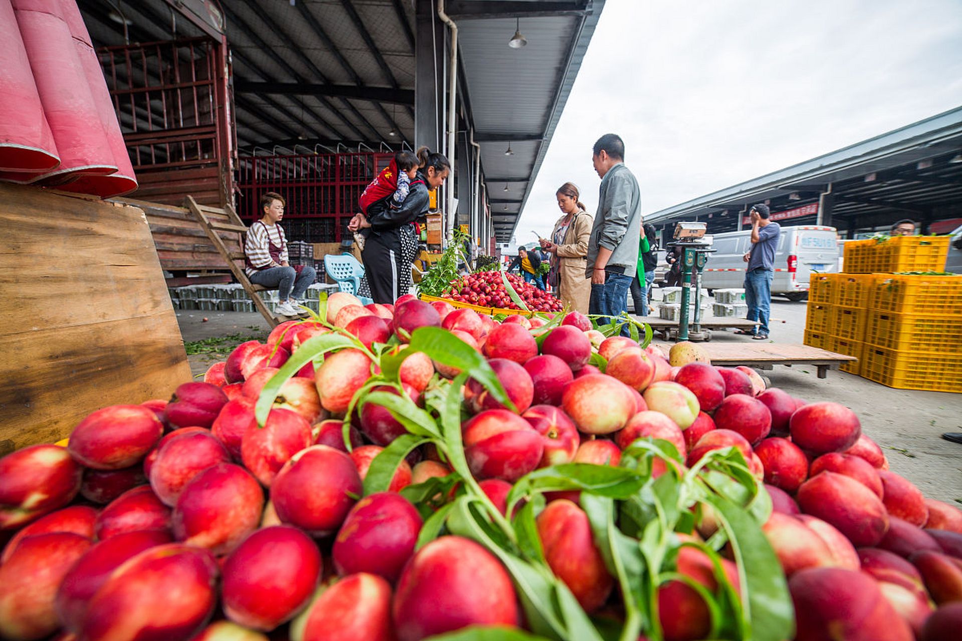 金秋图文动态创作节# #印尼小红辣椒价格暴涨5倍#  印尼小红辣椒价格