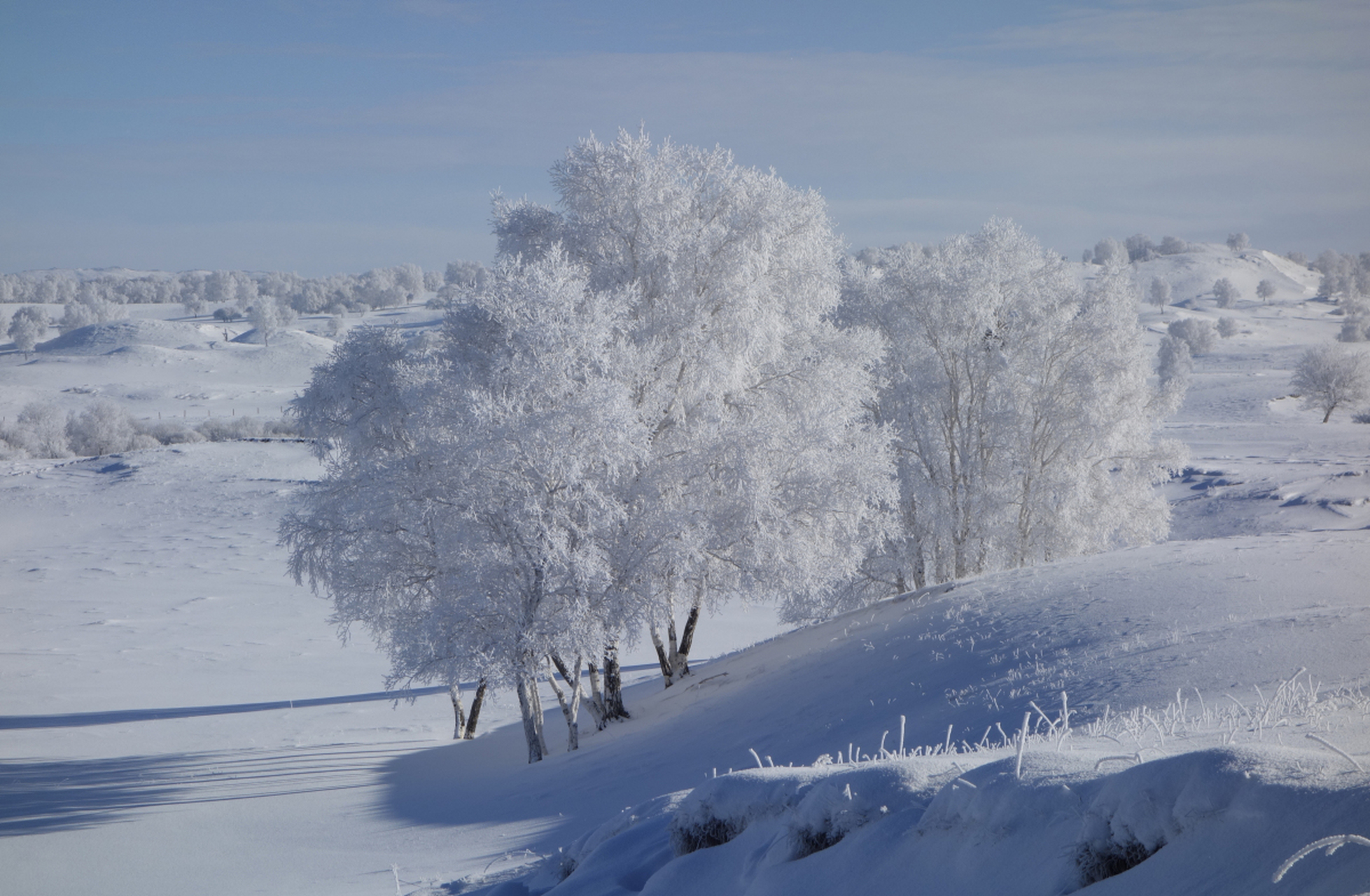 优质作者榜# 黑龙江在冬季以其独特的冰雪景观吸引着众多游客.