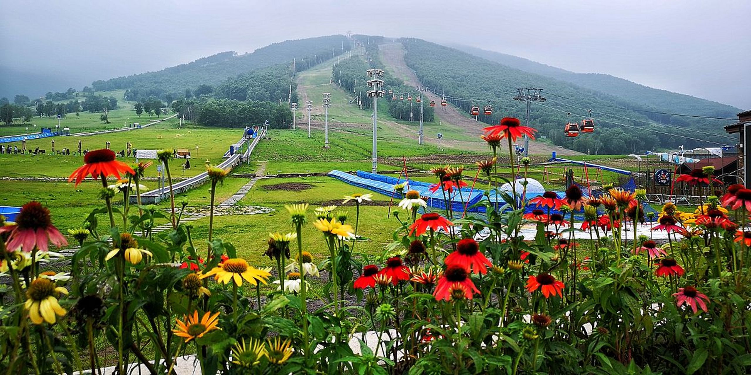 位于黑龙江省双鸭山市宝清县的完达山国家森林公园,犹如一颗璀璨的