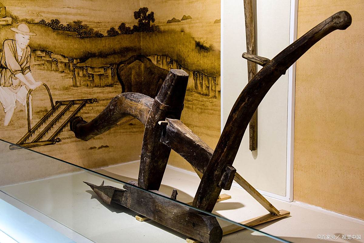 曲辕犁:唐代农民的"黑科技",如何让牛都笑出犁铧纹