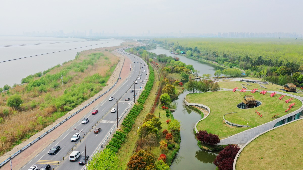 南京栖霞区西北部,是长江第三大岛,被誉为江中绿岛和中国芦蒿之乡