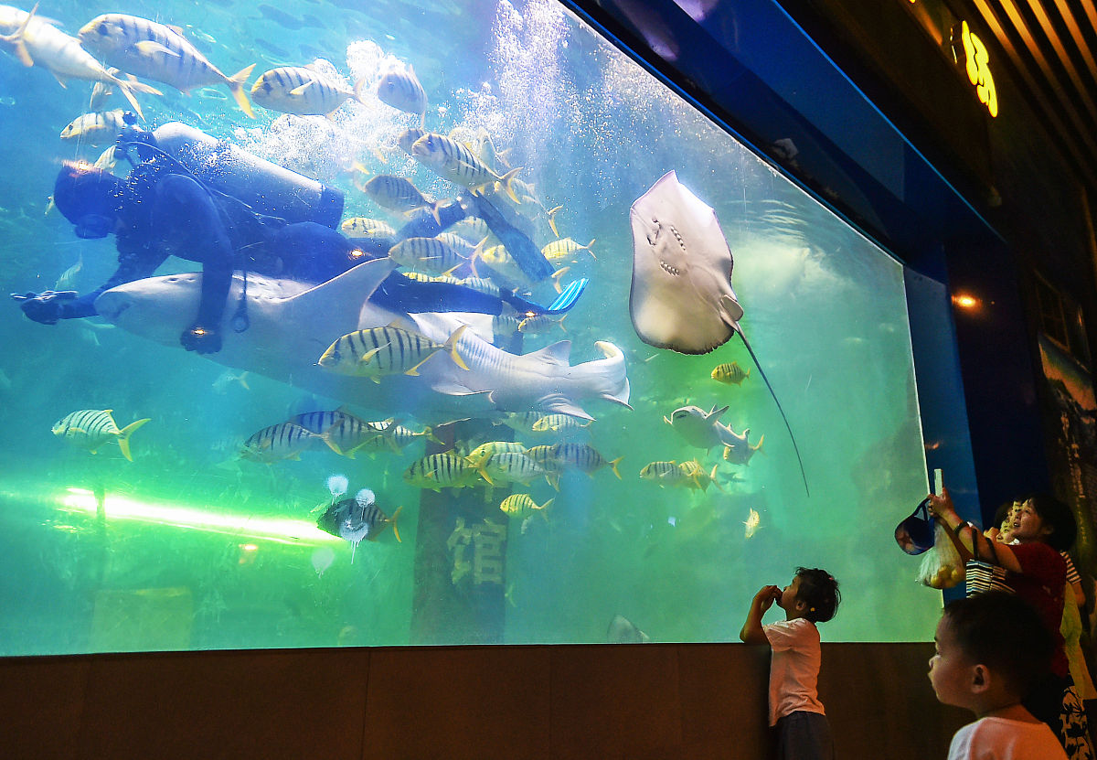 海洋馆位于千年帝都洛阳市龙门大道西侧,是国内最大的海洋博物馆之
