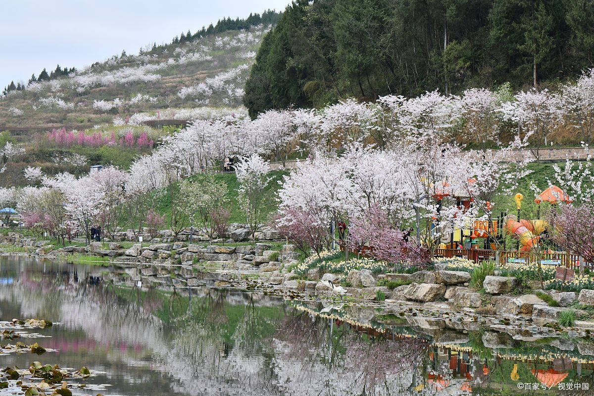 四川望龙山樱桃沟图片