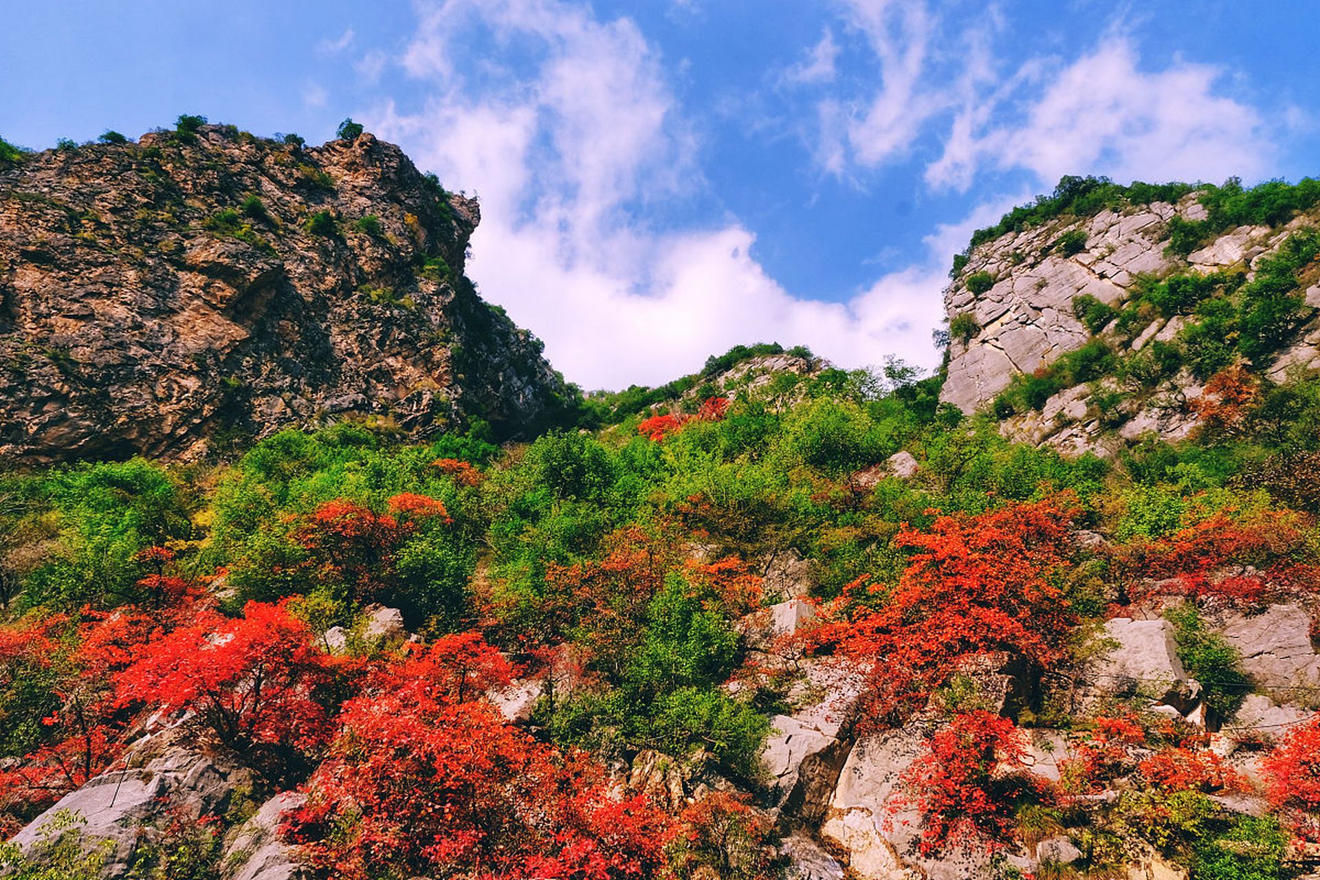 大西沟中华福寿山,五一山花盛开 想要在五一节期间寻找一处美丽的自然