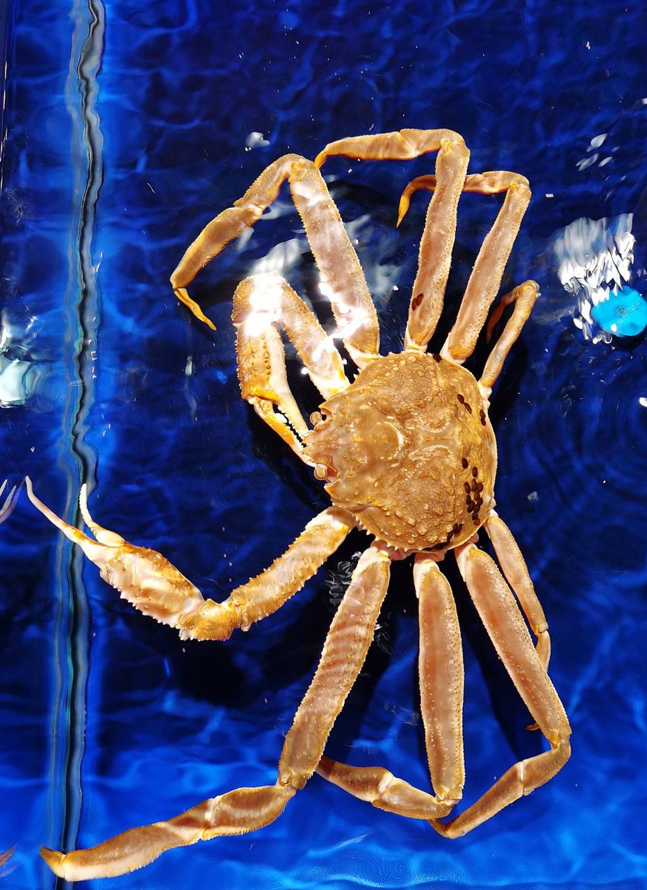 昨天 中午,家里也是着急我的婚事,我就和一位35岁