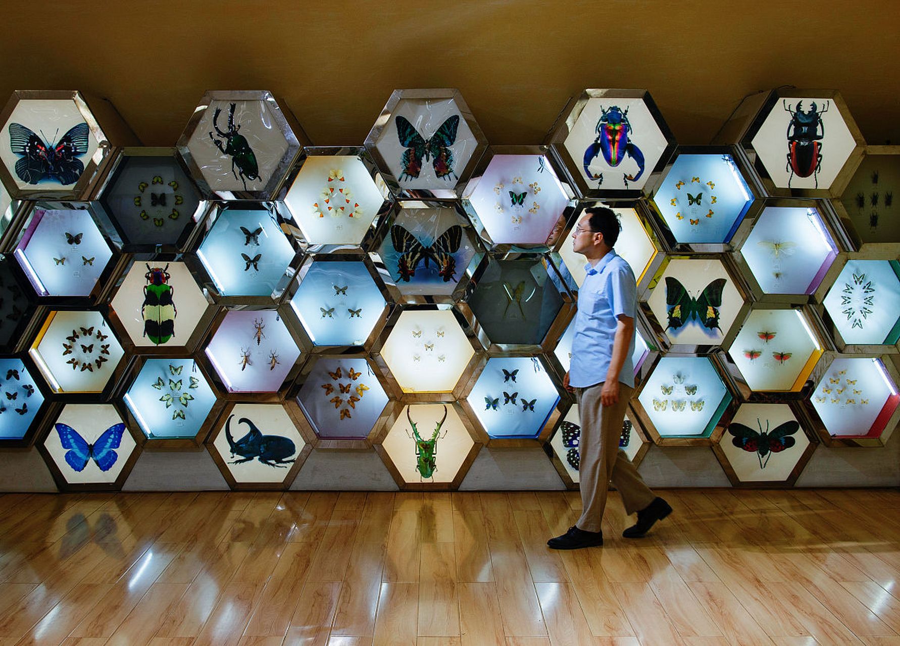 博物馆# #成都旅游#  华希昆虫博物馆位于青城山脚下,是国家三级博物