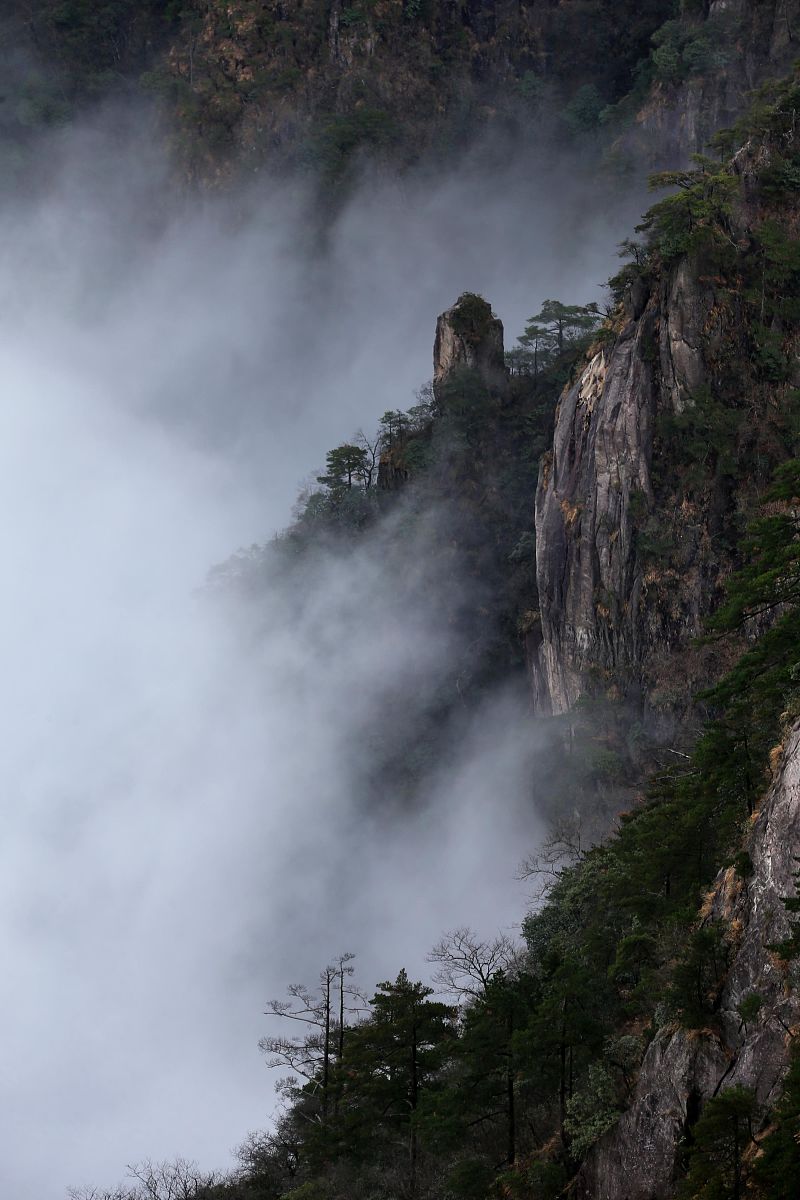 在春天去黄山旅游,你将会体验到前所未有的美景