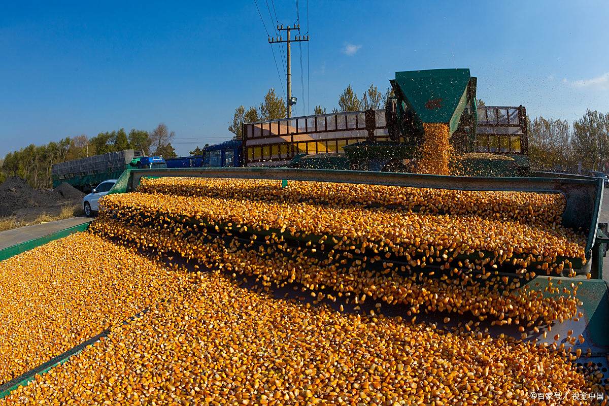 遍地价格 - 2020年最新商品信息聚合专区 - 百度爱采购