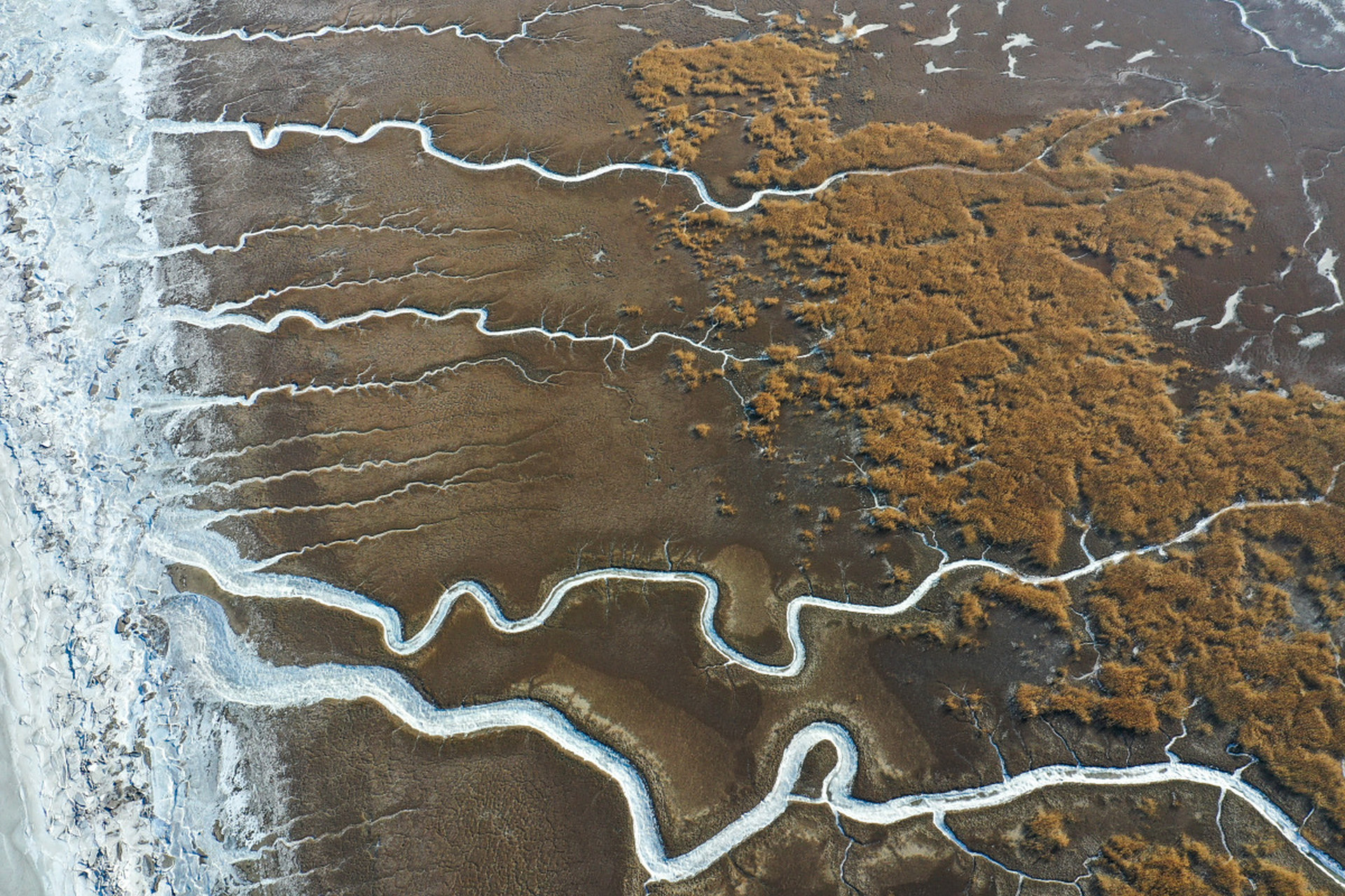 国内文旅# 辽宁湿地口,蜿蜒曲折的河流9015如同脉络般分布,一同