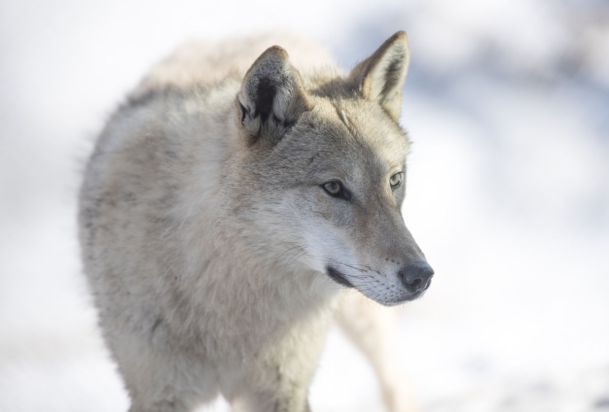 现实中直指人性的大实话有哪些.@大隋观世界的动态