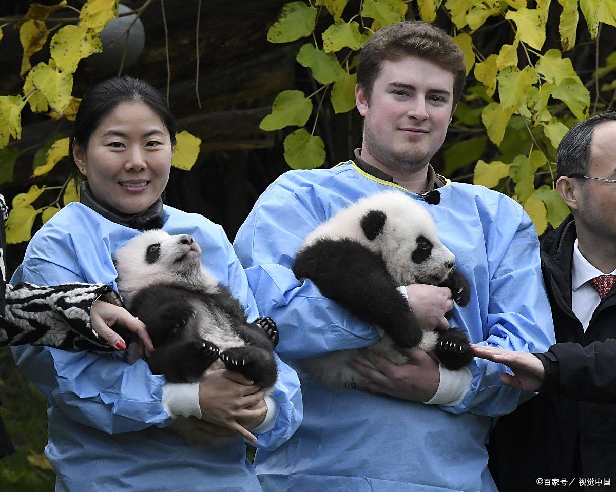 "熊猫外交"给中国带来的机遇