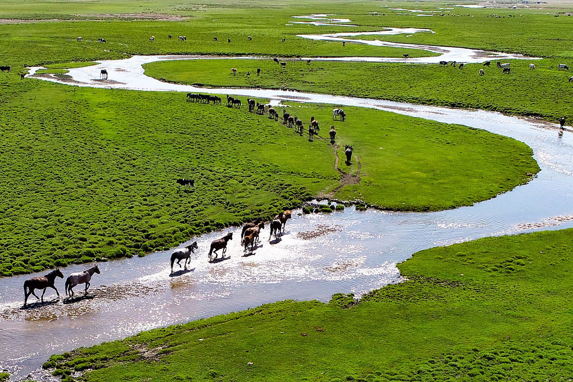 国内文旅# 巴里坤草原位于新疆东北部的哈密地区,这里有"天山淞雪,""