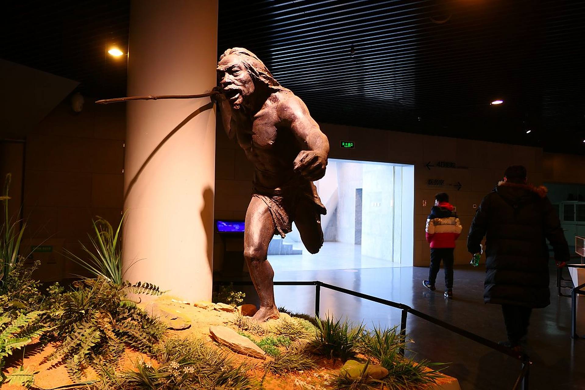 元谋人或元谋直立人(学名:homo erectus yuanmouensis),又称元谋猿人