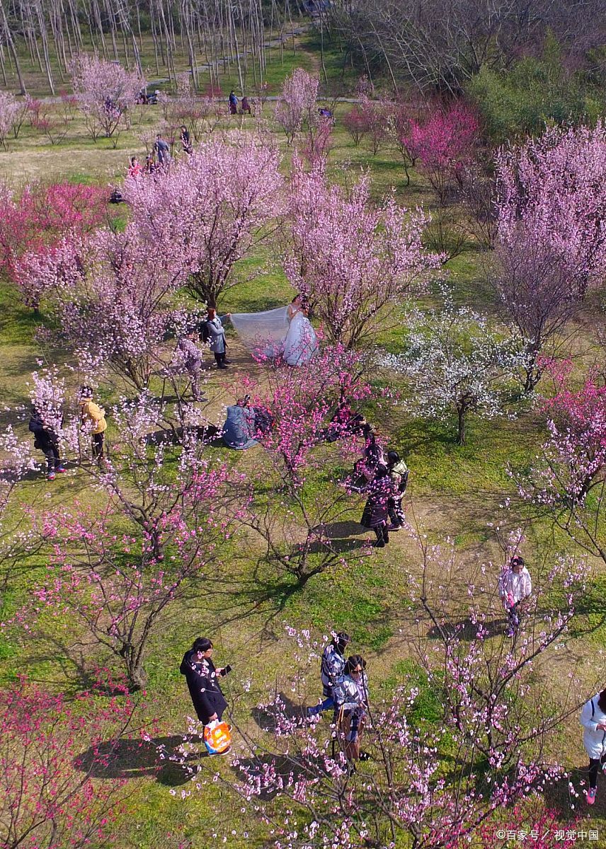 桃花岛有什么好玩的地方: 1.