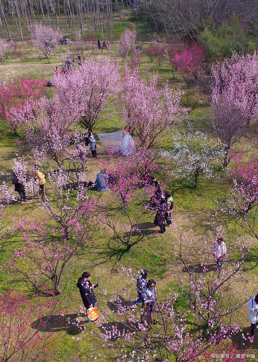 桃花岛安期峰景区图片