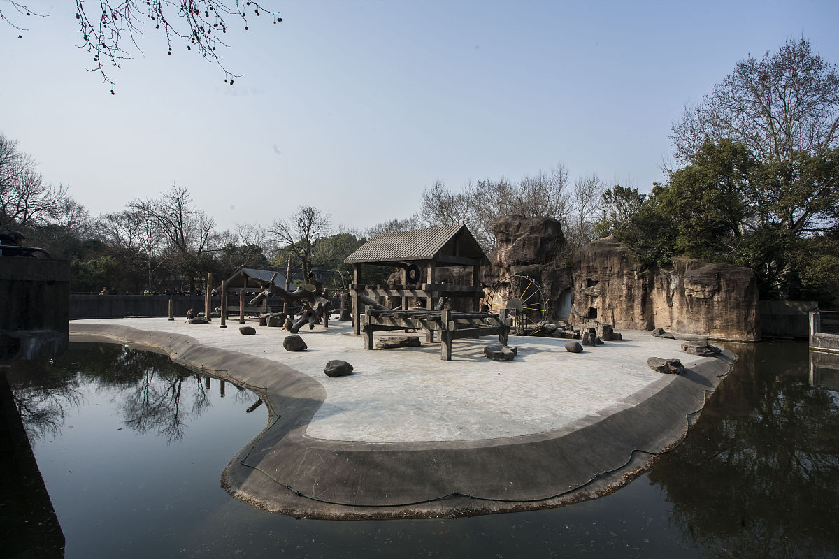 上海虹桥河滨公园形态万千的美景