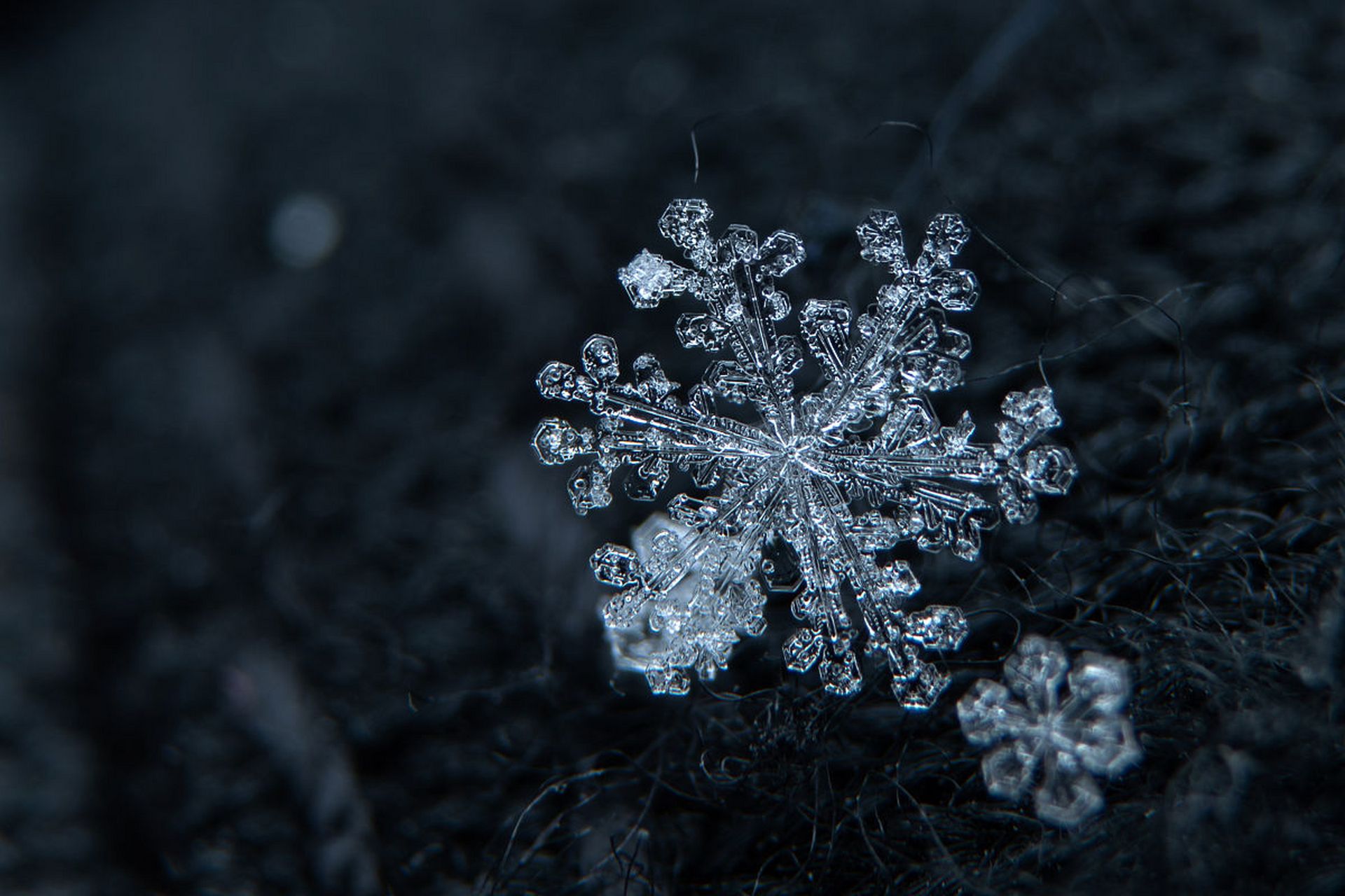 雪花是由水汽在低温下凝结而成的冰晶,有着独特的形状和结构,一般分为