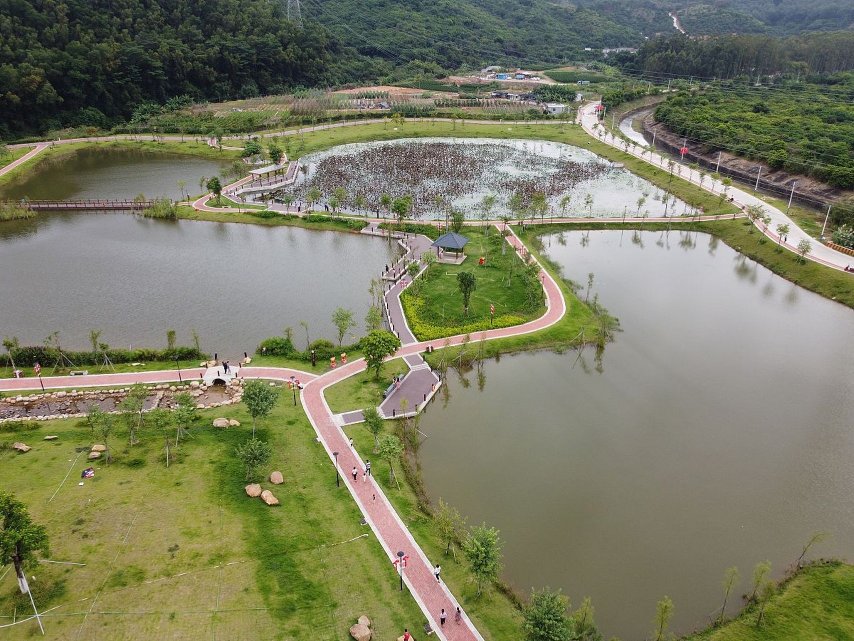 田东湿地公园位于广西百色市田东县,占地437亩,分为湿地公园和设有