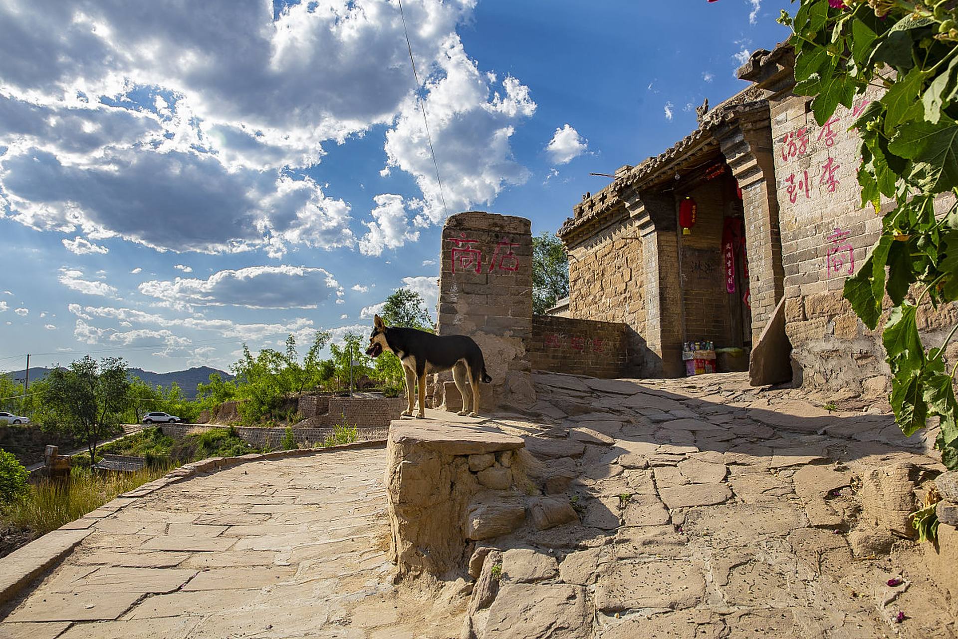 心定西再出发#定西市临洮县是一个历史文化悠久的古村落,拥有着犯富