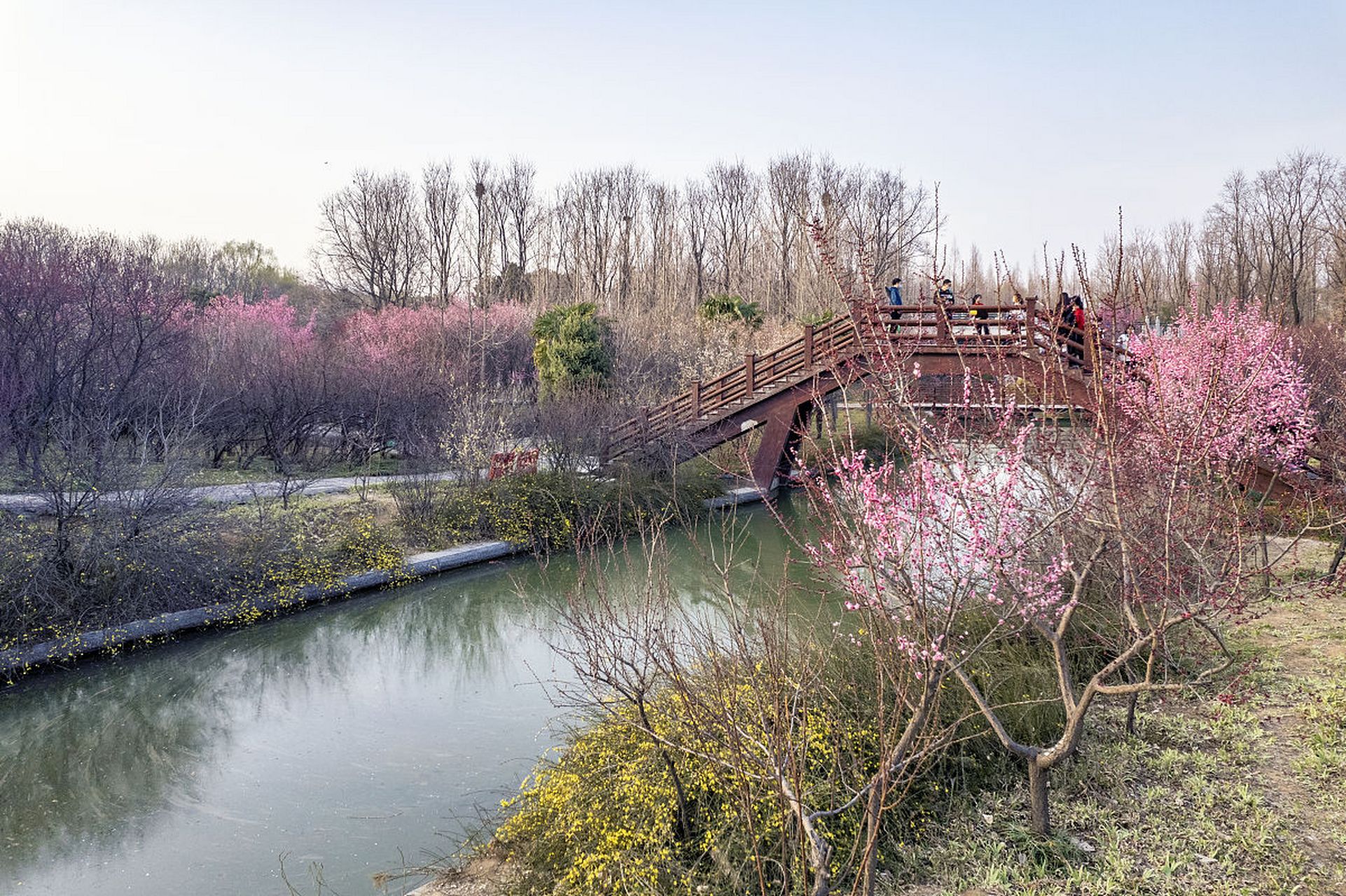 郑州市北龙湖图片