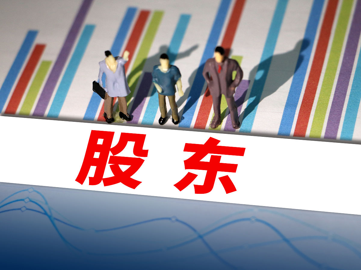 中小股东的利益如何得到保证:护航中小股东的权益之旅