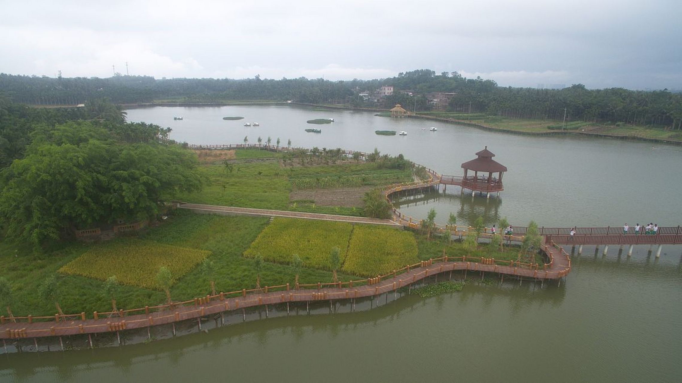 奔赴春天的旅行# 春日的阳光温暖而明媚,石狮湿地公园内绿意盎然