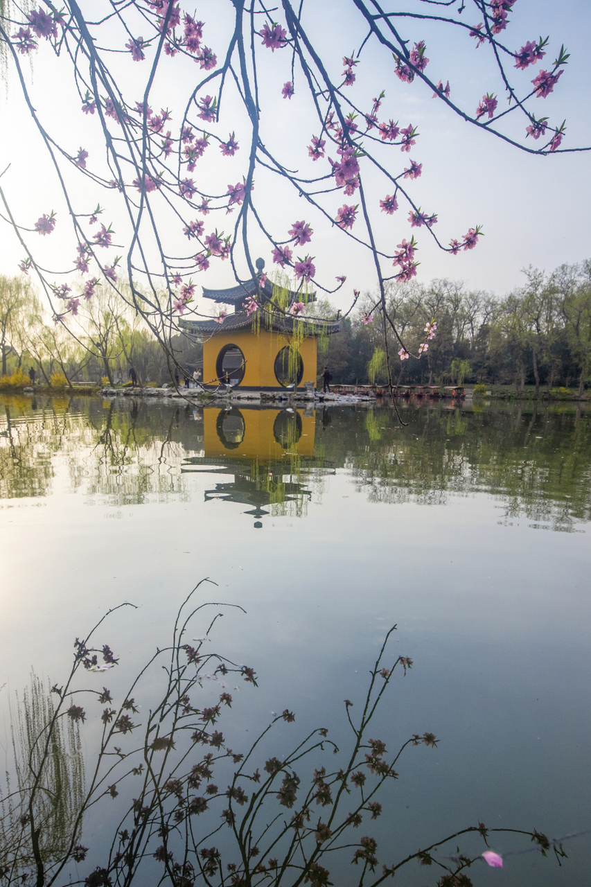 江南水乡桃花图片