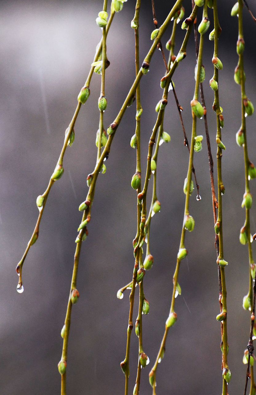 空濛是你,忧郁是我