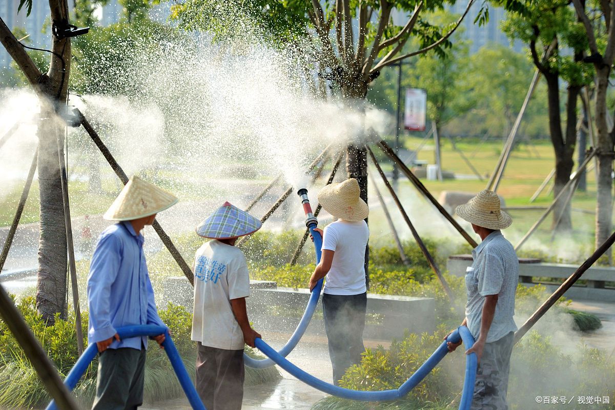 浇水- 热门商品专区