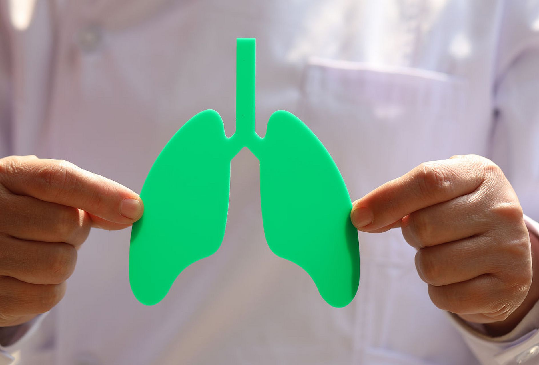 肺的宣发肃降功能是啥意思?