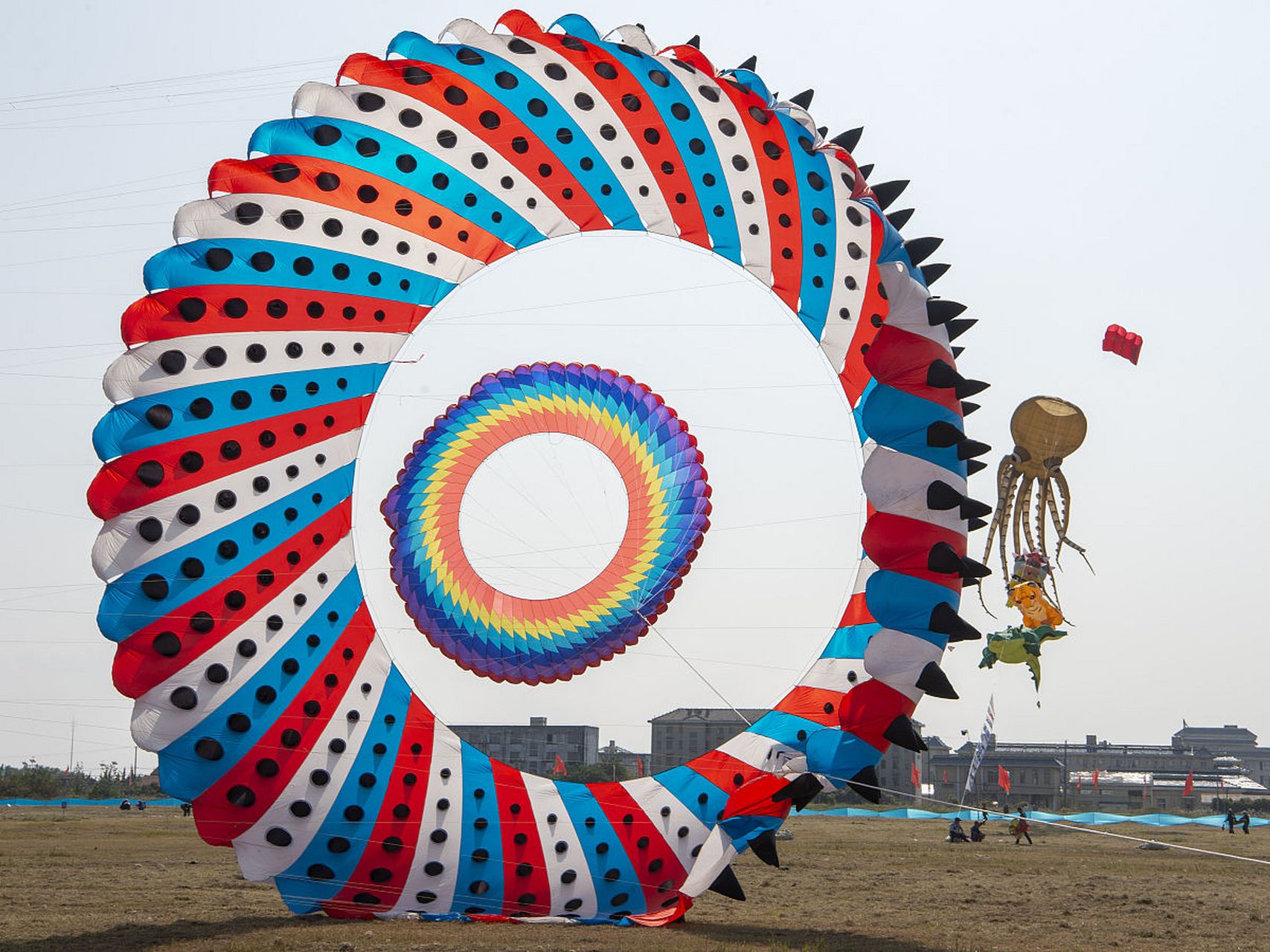 02 你听说过巨型滚地龙风筝吗?这可是风筝界的巨无霸啊!