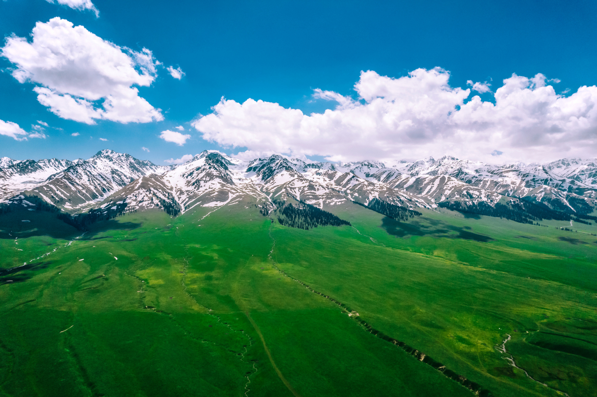 夏季的那拉提,草原绿意盎然,鲜花盛开,山顶的积雪尚未融化,形成一幅