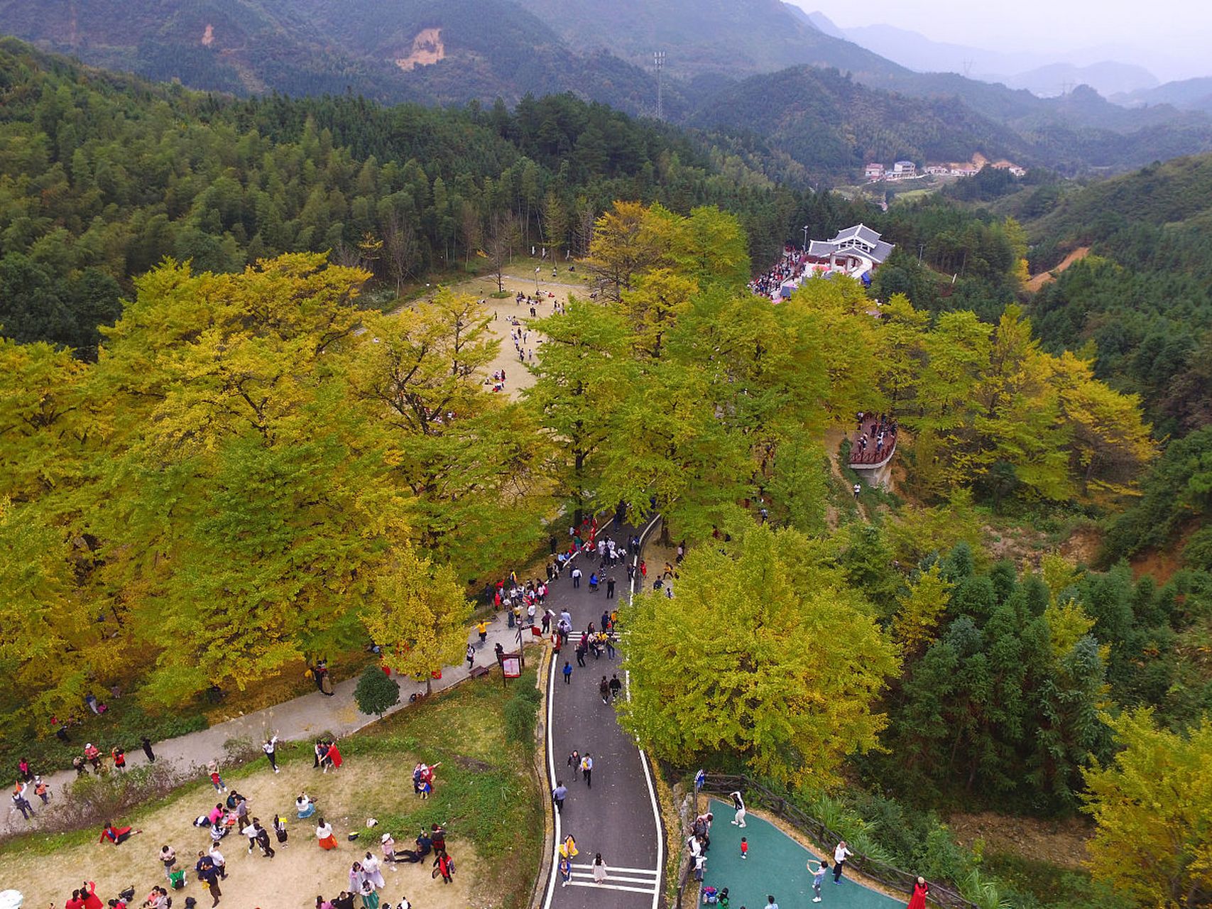 金秋图文动态创作节# 93永州市桐子坳景区:感受秋日红叶的魅力之旅