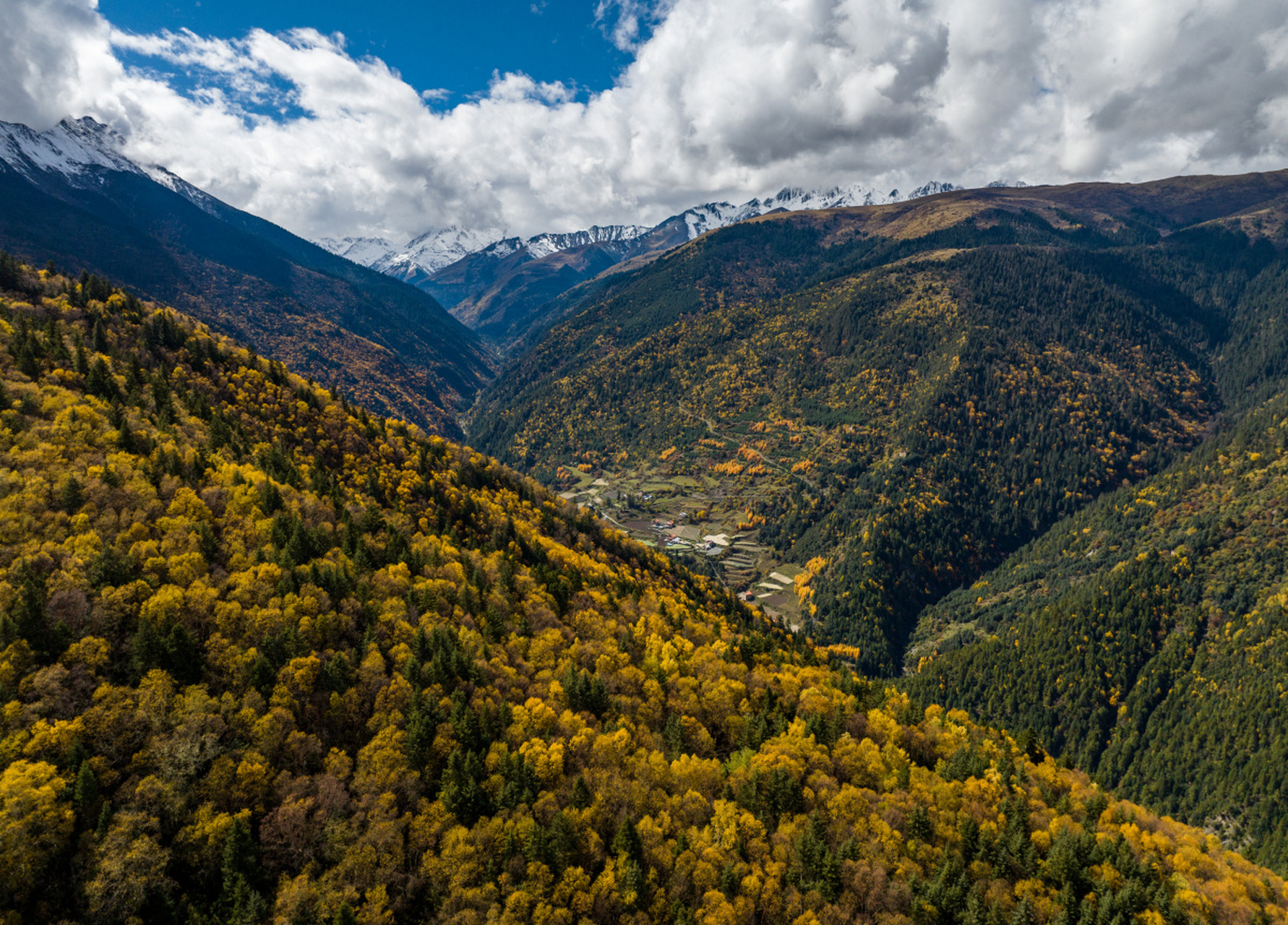 米亚罗,位于四川省阿坝藏族羌族自治州理县,是中国最大的红叶景观区.