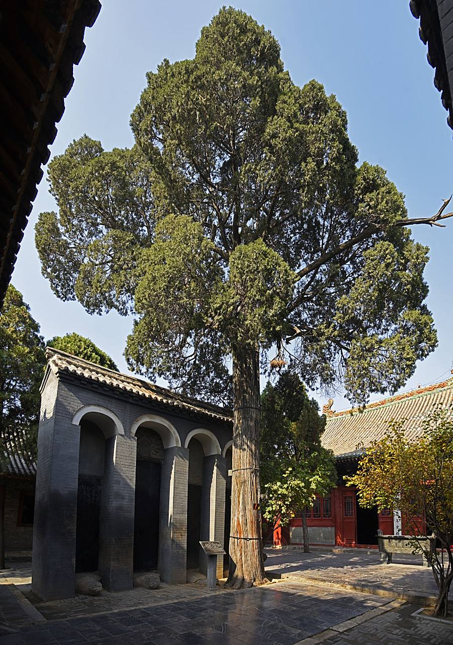 亦被尊称为宋岳忠武王庙,精忠庙,坐落在河南省安阳市汤阴县岳庙街86号