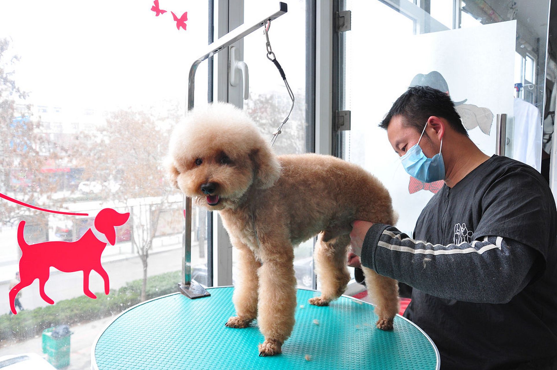 坑你千万不要乱踩:宠物医院那些不为人知的秘密  土豪请绕开,出门请