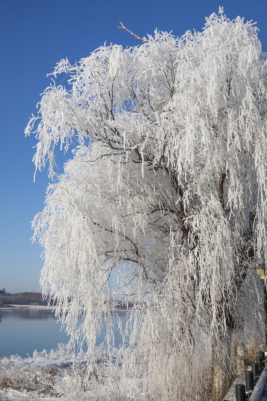 在这个冰雪世界里,我们可以感受到大自然的力量