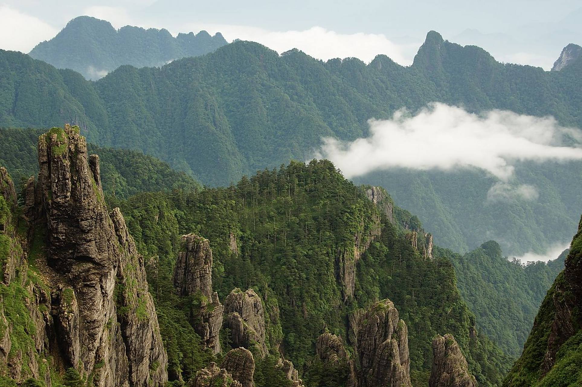 神农架风景区是一个让人流连忘返的地方,这里拥有着世界自然遗产,世界