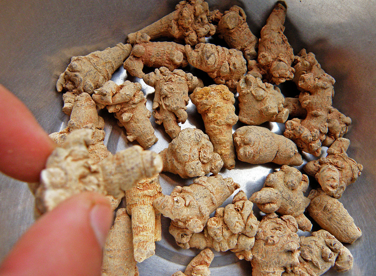 三味简单中药,救了心脏病,血管硬化,三高的人,不到五块钱!