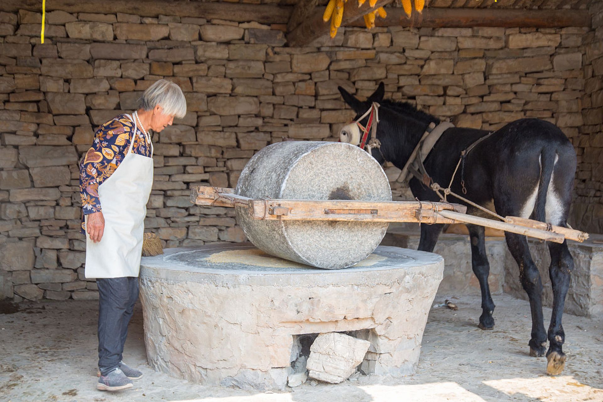 主人对正在辛勤拉磨的驴赞不绝口,他抚摸着驴的额头,感慨道:"你真是太