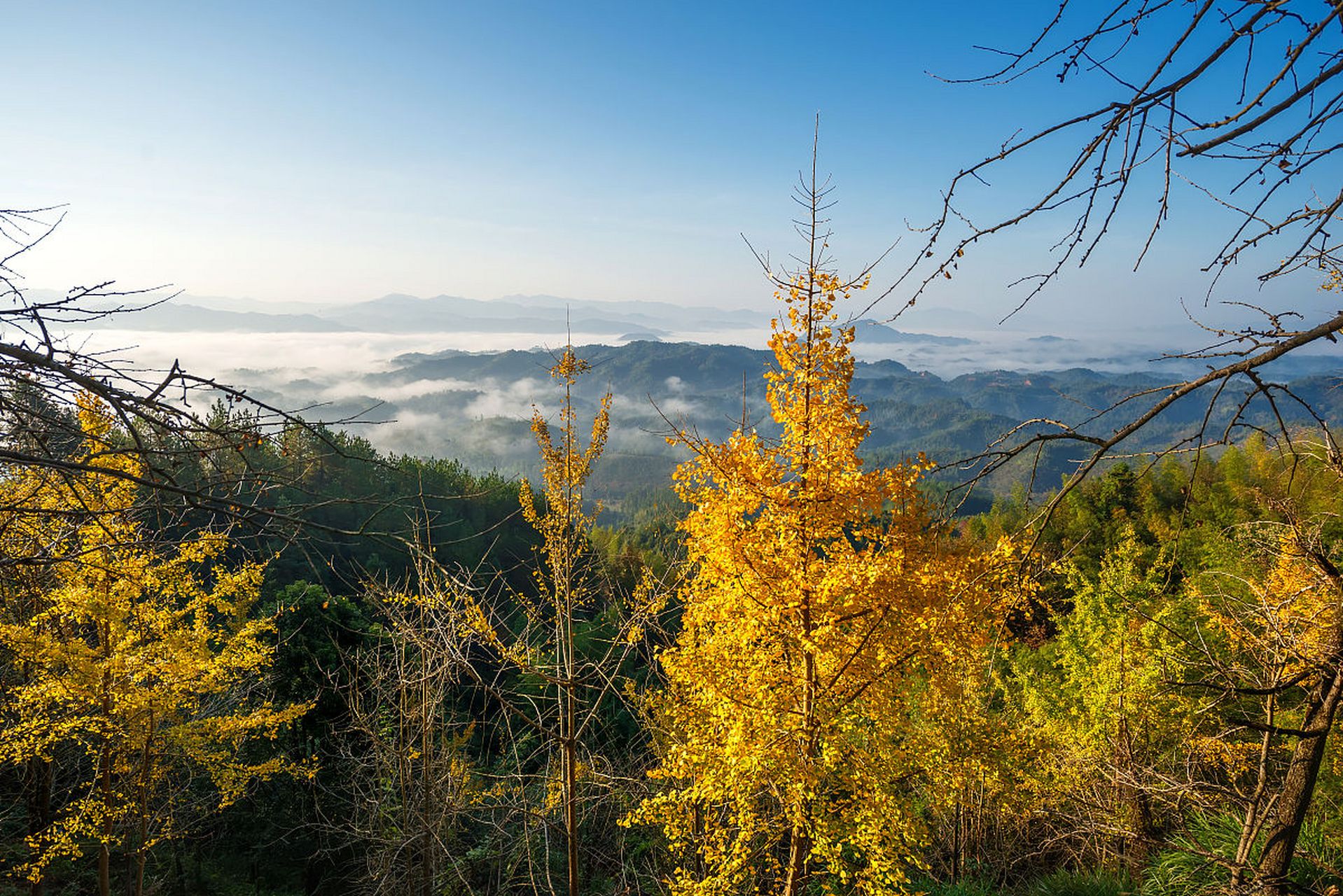 今天,我和几个好友来到了南雄景区,这里真的是太美了!