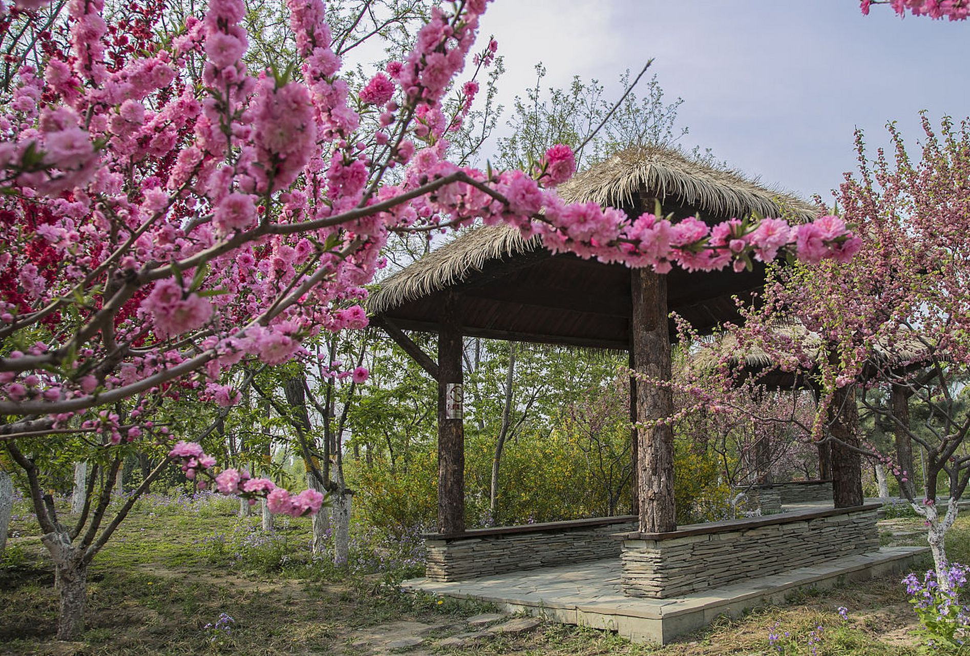 湖南桃源县的常德桃花源旅游区,是一处宛如世外桃源的5a级景区.