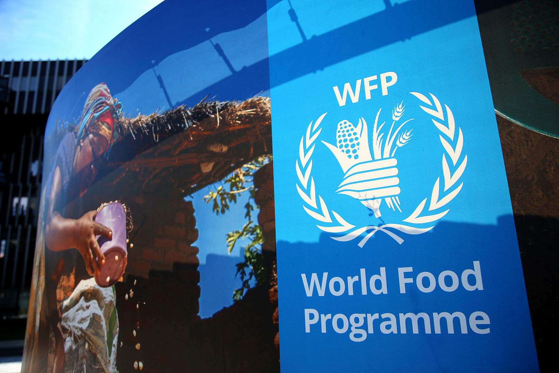 世界粮食计划署徽标图片