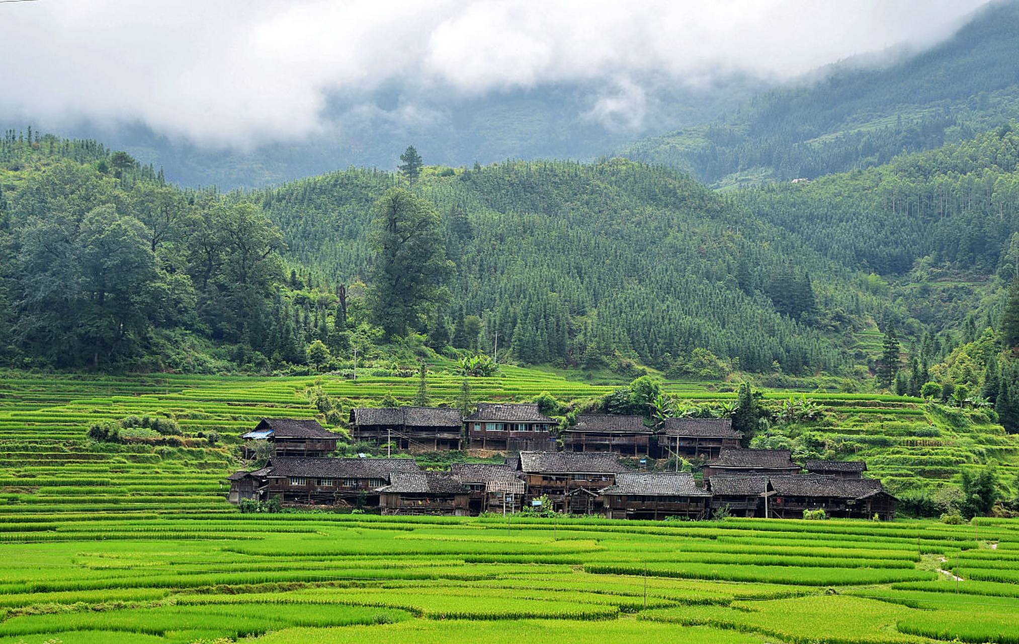 秋天的田园风光是美丽的,忙碌的,清爽的,也是丰收的.