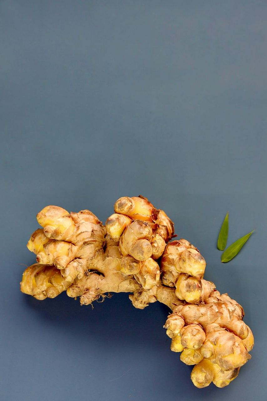 其主要成分有姜油萜,水茴香,姜酚等  食用功效